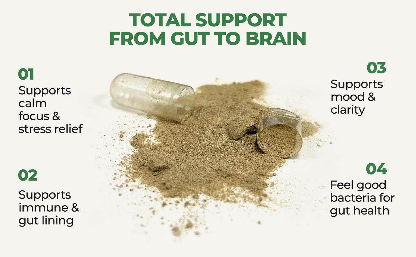 Gut-Brain Synergy Probiotics + Nootropic Supplement - 30 Billion CFU, Ashwagandha, L-Theanine, Zinc - Supports Digestion, Brain Supplement for Memory and Focus, Bloating Relief, Immunity- 60 Capsules